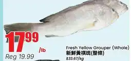 Terra Foodmart Fresh Yellow Grouper (Whole) offer
