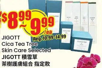 Terra Foodmart JIGOTT Cica Tea Tree Skin Care Selected offer