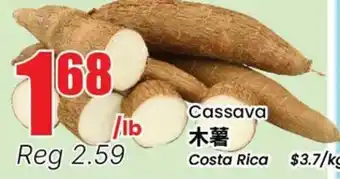 Terra Foodmart Cassava offer