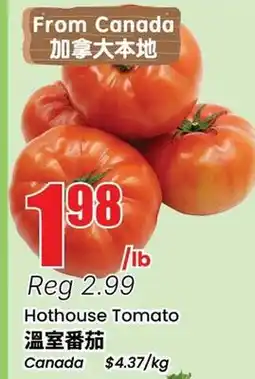 Terra Foodmart Hothouse Tomato offer