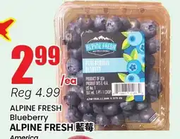 Terra Foodmart ALPINE FRESH Blueberry offer