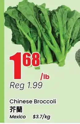 Terra Foodmart Chinese Broccoli offer