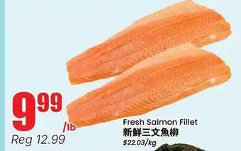 Terra Foodmart Fresh Salmon Fillet offer