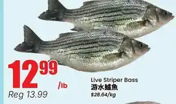 Terra Foodmart Live Striper Bass offer