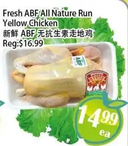 Food Depot Supermarket Fresh ABF All Nature Run Yellow Chicken offer