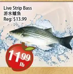Food Depot Supermarket Live Strip Bass offer