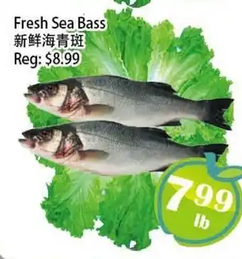 Food Depot Supermarket Fresh Sea Bass offer
