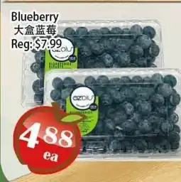 Food Depot Supermarket Blueberry offer