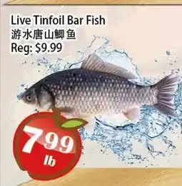 Food Depot Supermarket Live Tinfoil Bar Fish offer