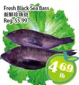 Food Depot Supermarket Fresh Black Sea Bass offer