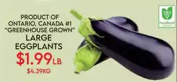Fiesta Farms PRODUCT OF ONTARIO, CANADA #1 GREENHOUSE GROWN LARGE EGGPLANTS offer