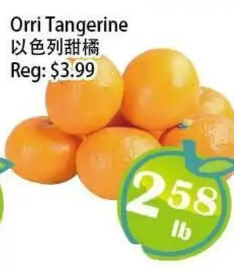 Food Depot Supermarket Orri Tangerine offer