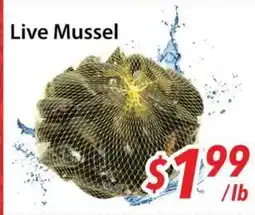 Bestco Food Mart Live Mussel offer