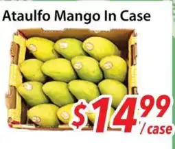 Bestco Food Mart Ataulfo Mango In Case offer