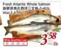 Tone Tai Supermarket Fresh Atlantic Whole Salmon offer
