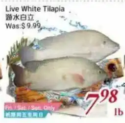 Tone Tai Supermarket Live White Tilapia offer