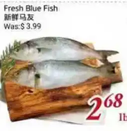 Tone Tai Supermarket Fresh Blue Fish offer
