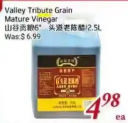 Tone Tai Supermarket Valley Tribute Grain Mature Vinegar offer