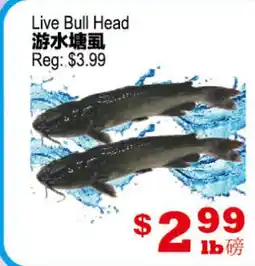 Yuan Ming Supermarket Live Bull Head offer