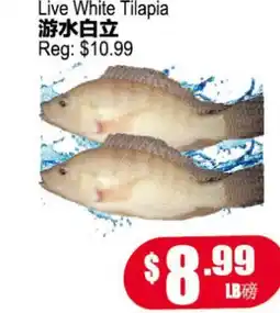 Yuan Ming Supermarket Live White Tilapia offer