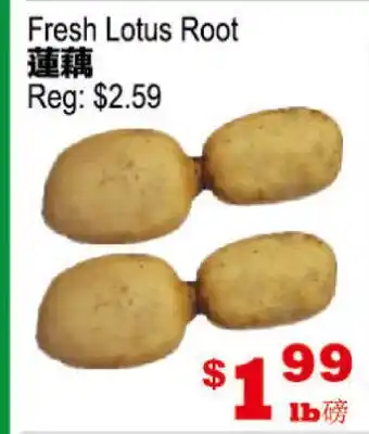 Yuan Ming Supermarket Fresh Lotus Root offer