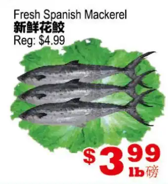 Yuan Ming Supermarket Fresh Spanish Mackerel offer