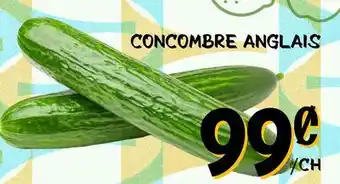Marche Salaberry CONCOMBRE ANGLAIS offer