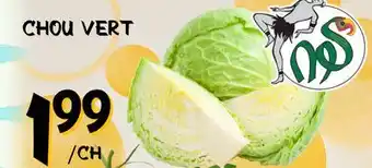 Marche Salaberry CHOU VERT offer
