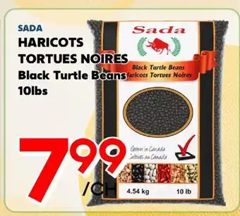 Marche Salaberry SADA HARICOTS TORTUES NOIRES offer