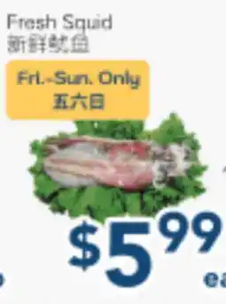 Oceans Fresh Food Market Fresh Squid offer