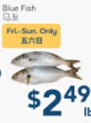 Oceans Fresh Food Market Blue Fish offer