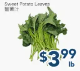 Oceans Fresh Food Market Sweet Potato Leaves offer