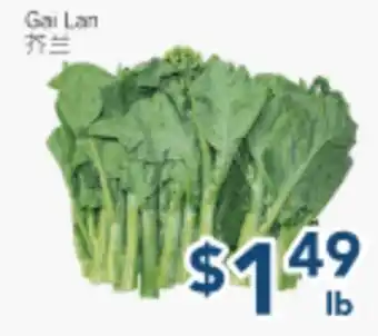 Oceans Fresh Food Market Gai Lan offer