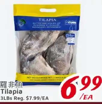United Supermarket Tilapia offer