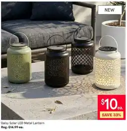 Kitchen Stuff Plus Daisy Solar LED Metal Lantern offer