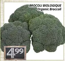 Supermarché PA BROCOLI BIOLOGIQUE | Organic Broccoli offer