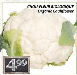 Supermarché PA CHOU-FLEUR BIOLOGIQUE | Organic Cauliflower offer