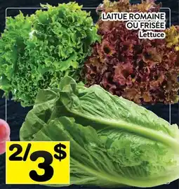 Supermarché PA LAITUE ROMAINE OU FRISÉE | Lettuce offer