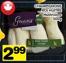 Supermarché PA CHAMPIGNONS ROI HUÎTRE | Mushrooms offer