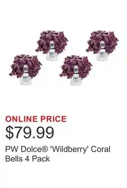 Costco PW Dolce 'Wildberry' Coral Bells offer