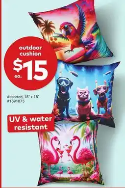 Giant Tiger Outdoor cushion offer