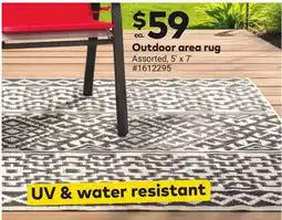 Giant Tiger Outdoor area rug offer