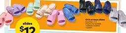 Giant Tiger Girls or boys slides offer