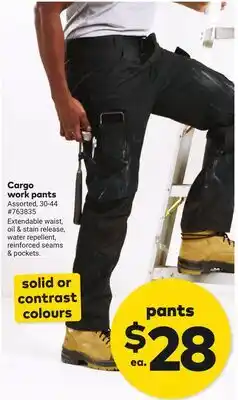 Giant Tiger Cargo work pants offer