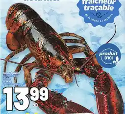 Metro HOMARD VIVANT | LIVE LOBSTER offer