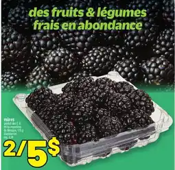 Metro MÛRES | BLACKBERRIES offer
