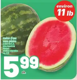 Metro MELON D'EAU SANS PÉPINS | SEEDLESS WATERMELON offer