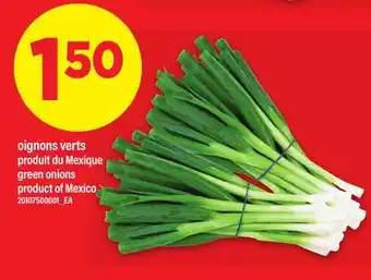 Maxi OIGNONS VERTS | GREEN ONIONS offer