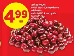 Maxi CERISES ROUGES │ RED CHERRIES offer