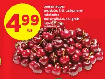 Maxi CERISES ROUGES │ RED CHERRIES offer